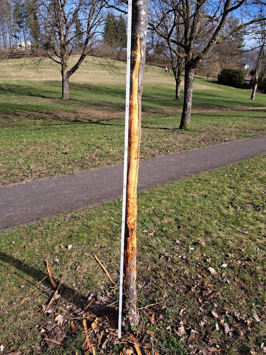  — © Stadt Heidenheim