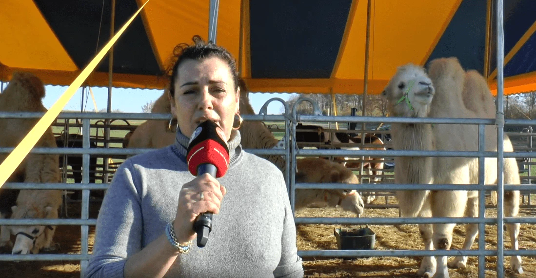 Zirkus Renz sagt danke