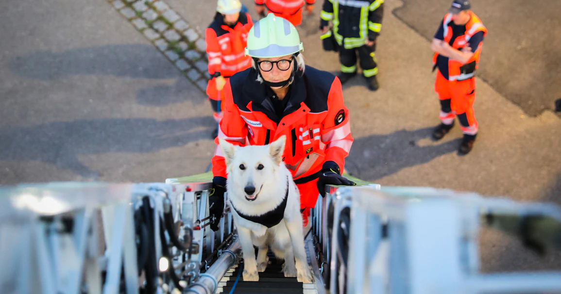 Die Rettungshundestaffel der Feuerwehr Ulm — © Aurel Dörner