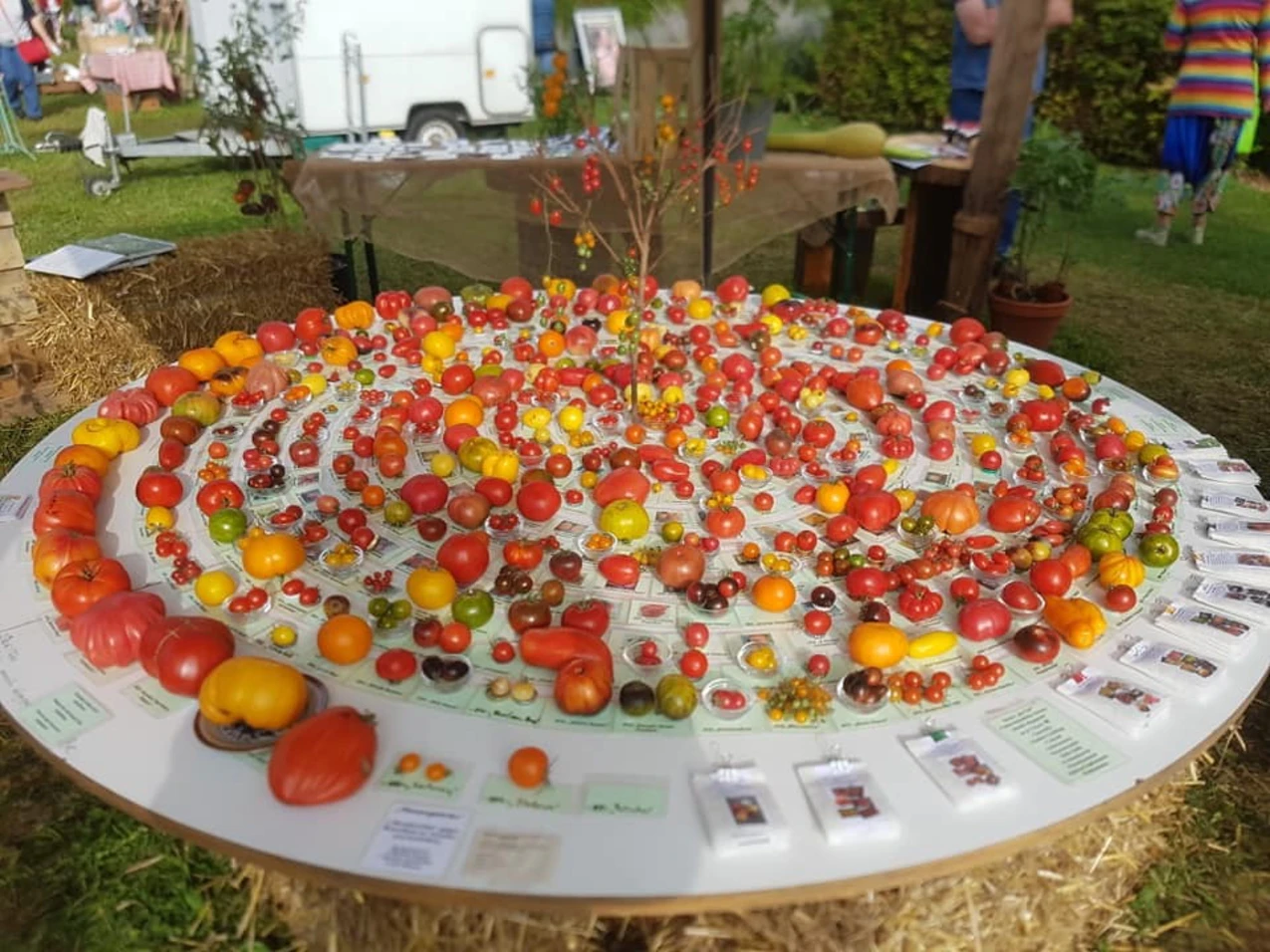 3. Saatgut-Markt in Dornstadt: Saatgutraritten, Tomatenrondell und  Hexenpflanzen | DONAU 3 FM