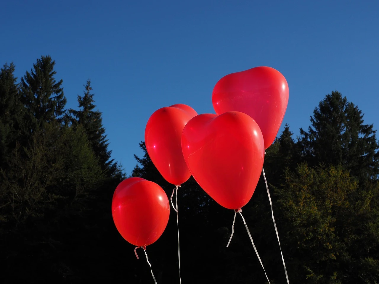 Herz-Luftballons