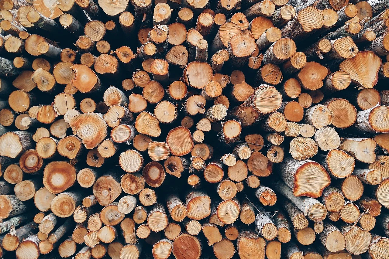 Holzstämme — © Symbolbild
