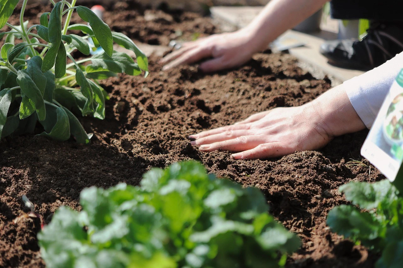 Garten, Gartenarbeit — © Symbolbild
