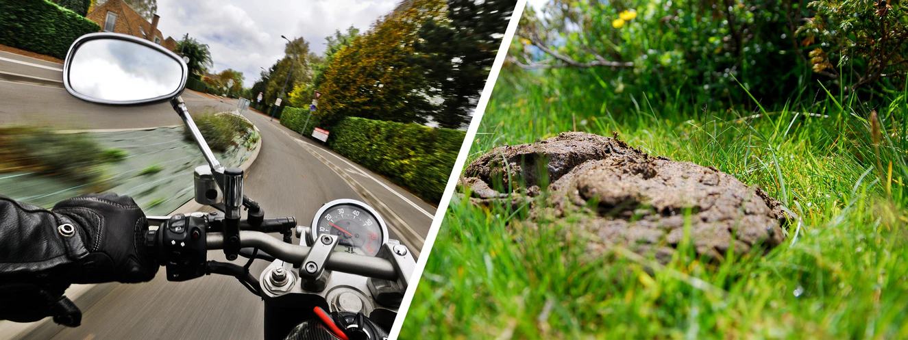 Kuhfladen motorrad