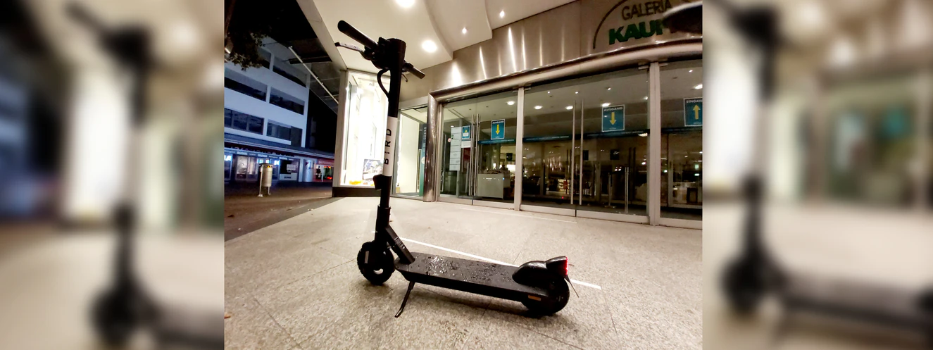Bird Roller