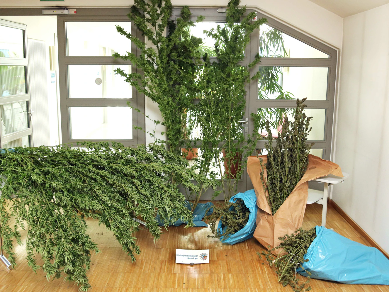Marihuana — © Polizeipräsidium Schwaben Süd/West