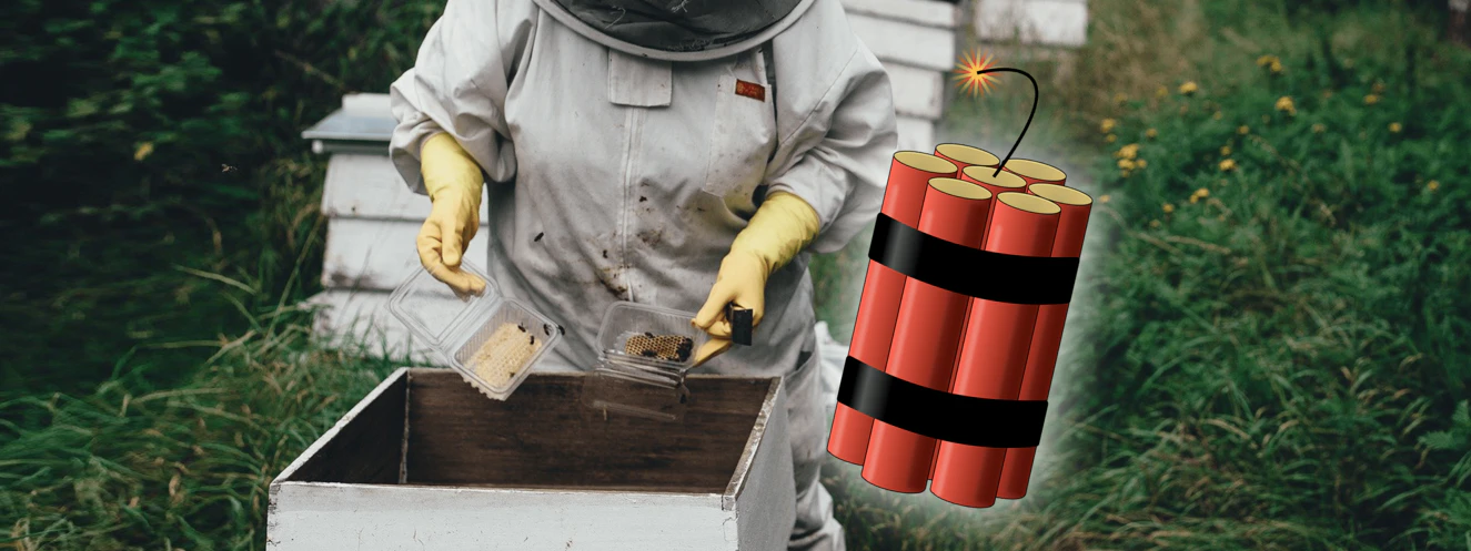 Bombe in einem Bienenkasten