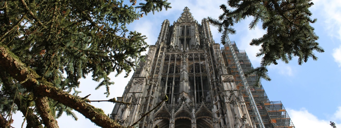 Weihnachtsbaum Ulm