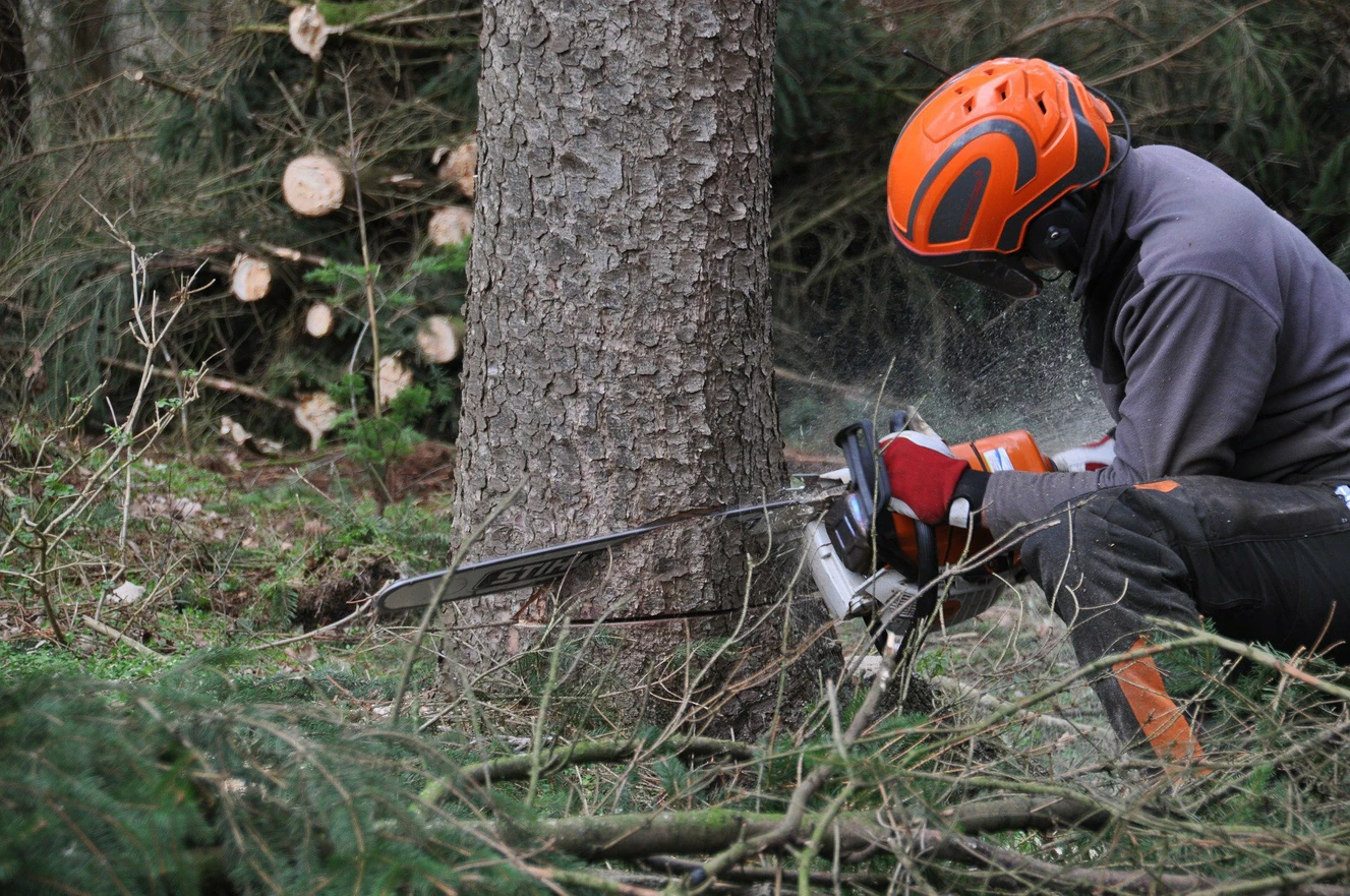 Baum fäller, Waldarbeit