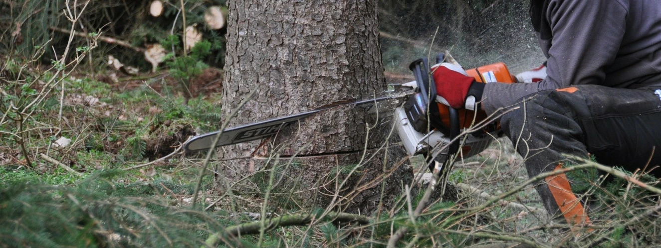 Baum fäller, Waldarbeit