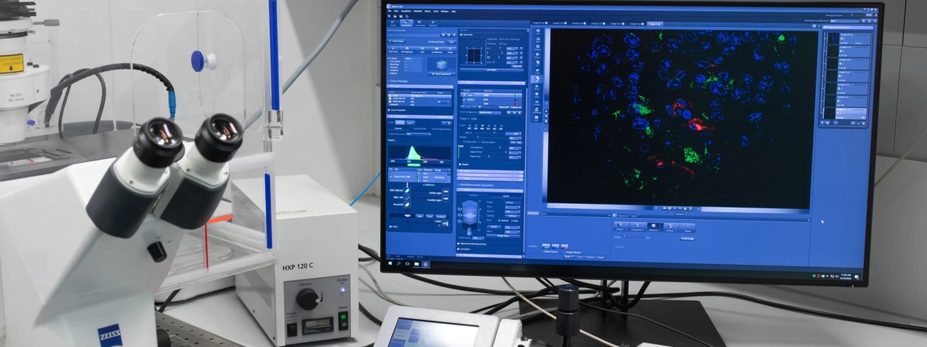 virenforschung bildschirm — © Elvira Eberhardt/Universität Ulm