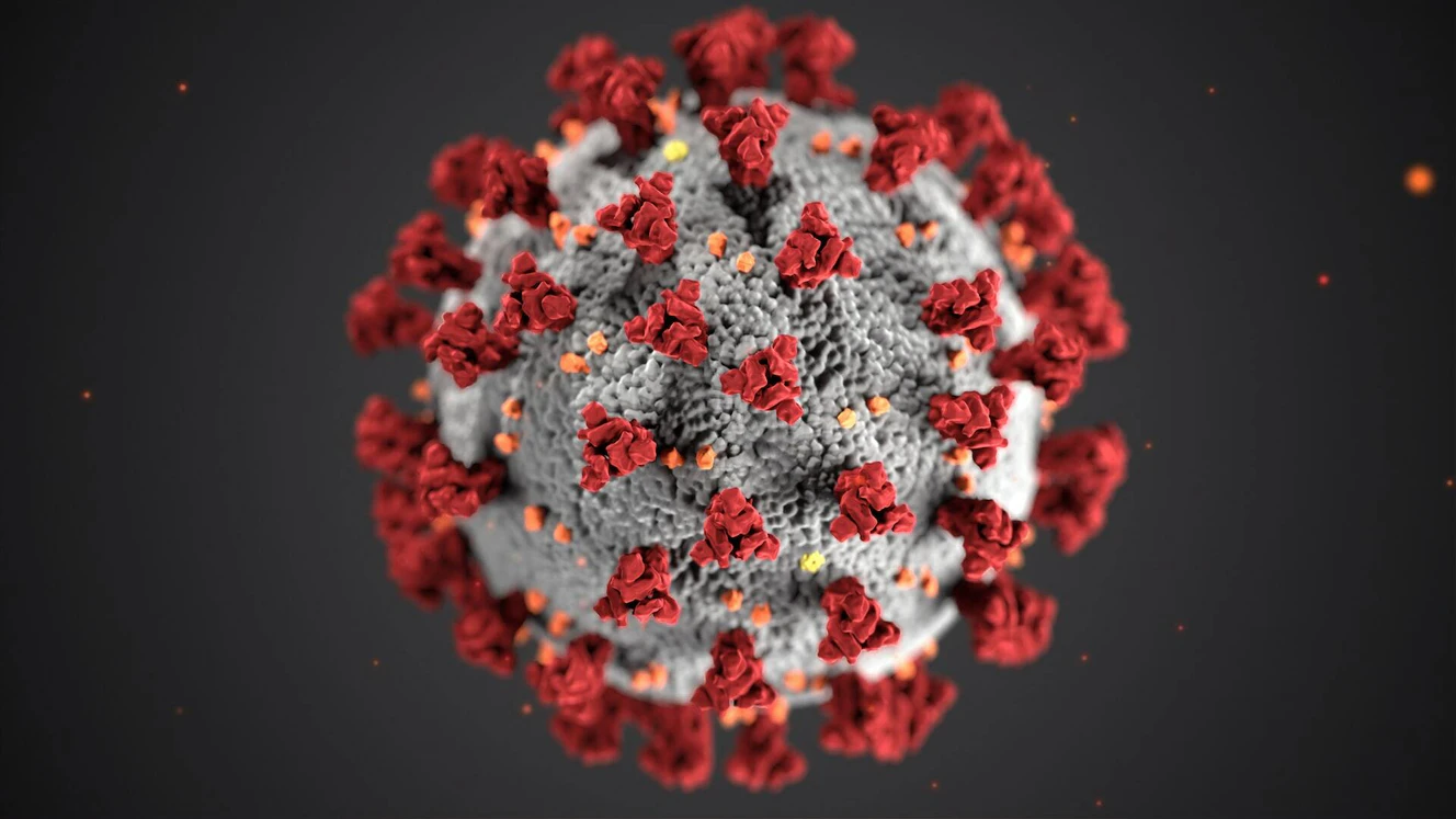 corona protein