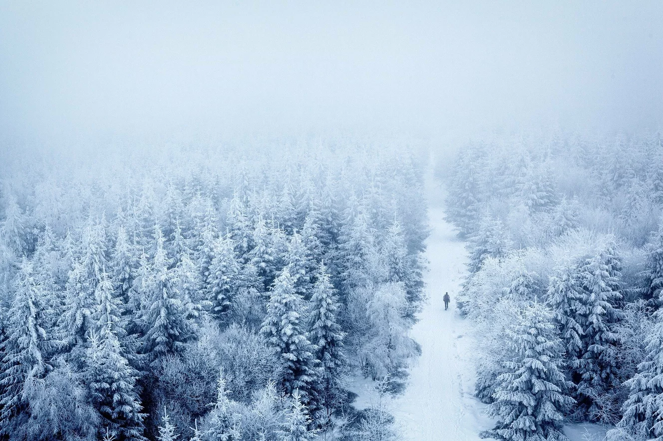 Mann läuft auf verschneitem Waldweg