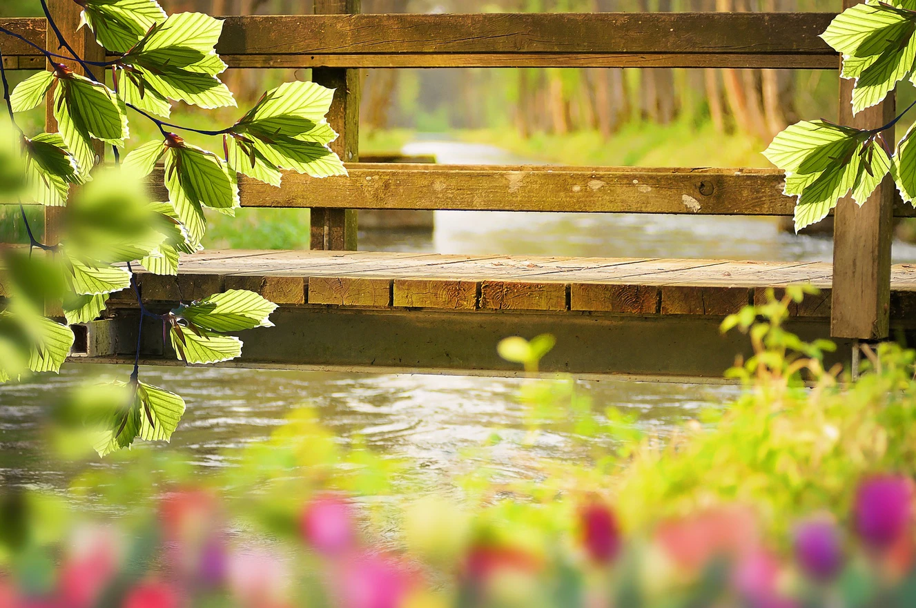 Holzbrücke über einen Bach