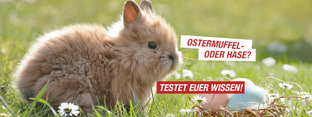 ostern quiz