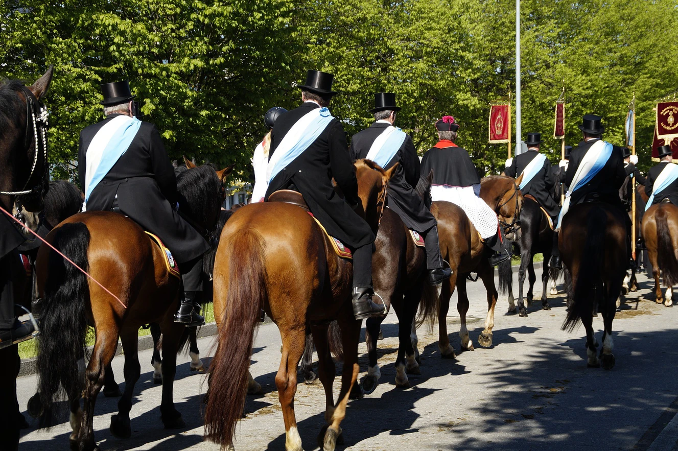 Pferde und Reiter