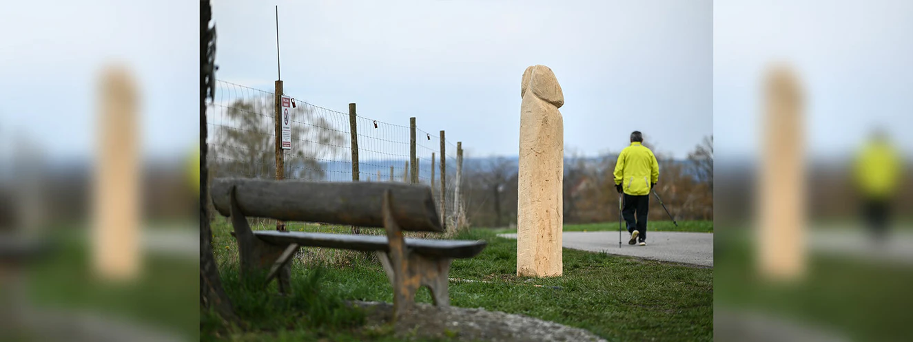 Ein Holzpenis bei Ravensburg — © Felix Kästle/dpa