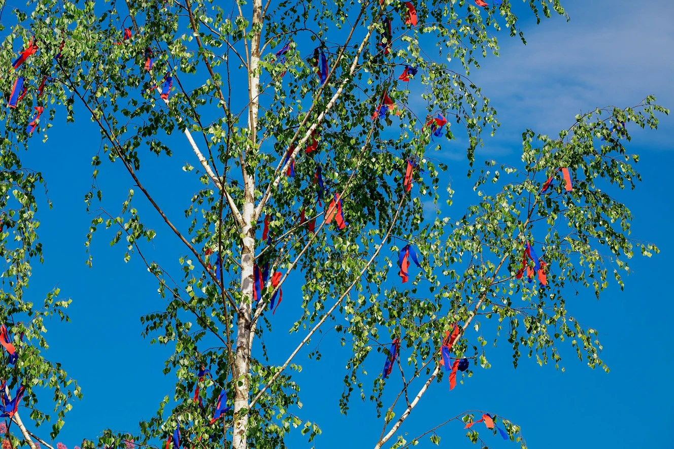 geschmückter Maibaum