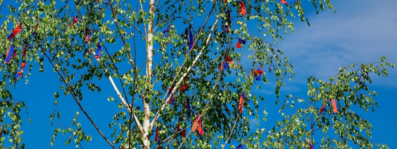 geschmückter Maibaum