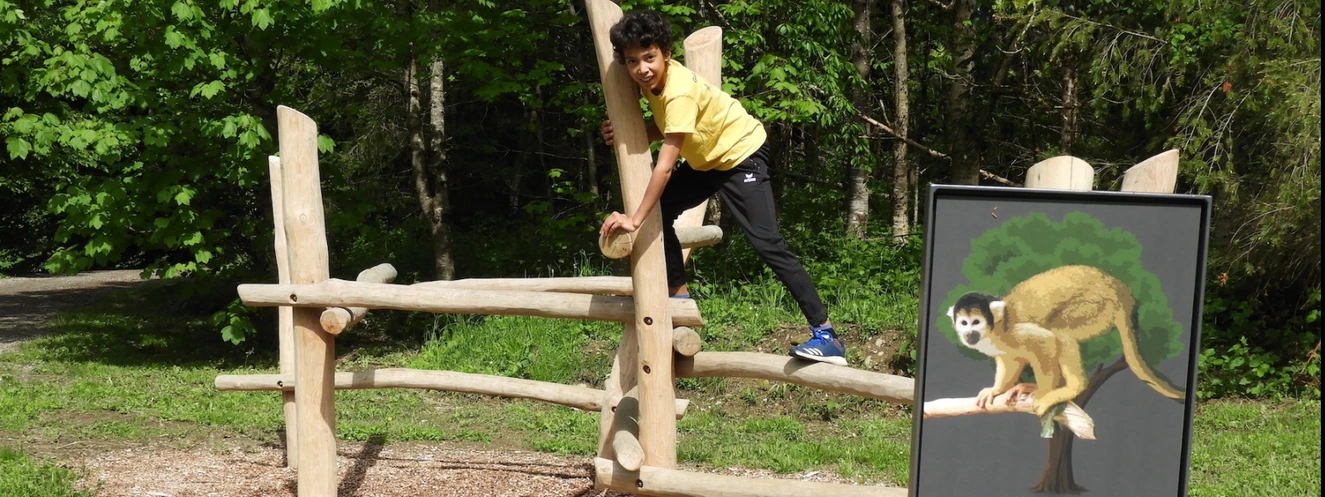 Ein Junge klettert auf einem Gerüst wie ein Affe auf dem Affenberg Salem — © Affenberg Salem