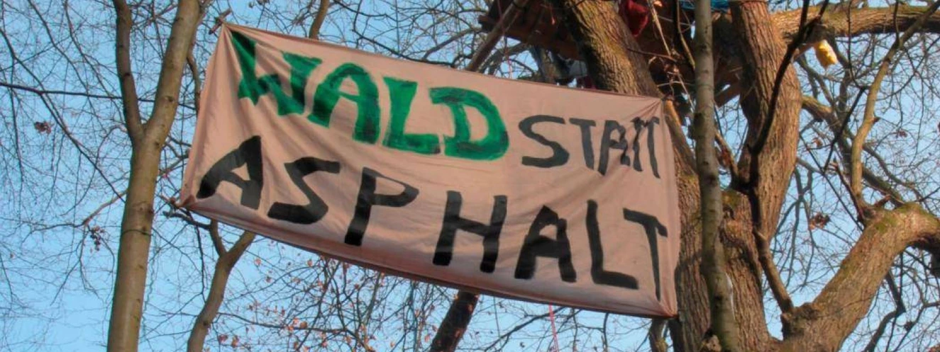 Wald statt Asphalt, Demo, Protest, Baum, Robin Wood — © Robin Wood e. V.