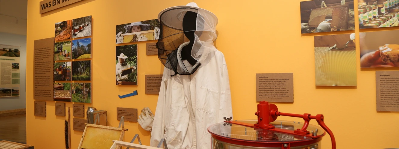 "Bienen & Co." Ausstellung im Museum Biberach — © Museum Biberach