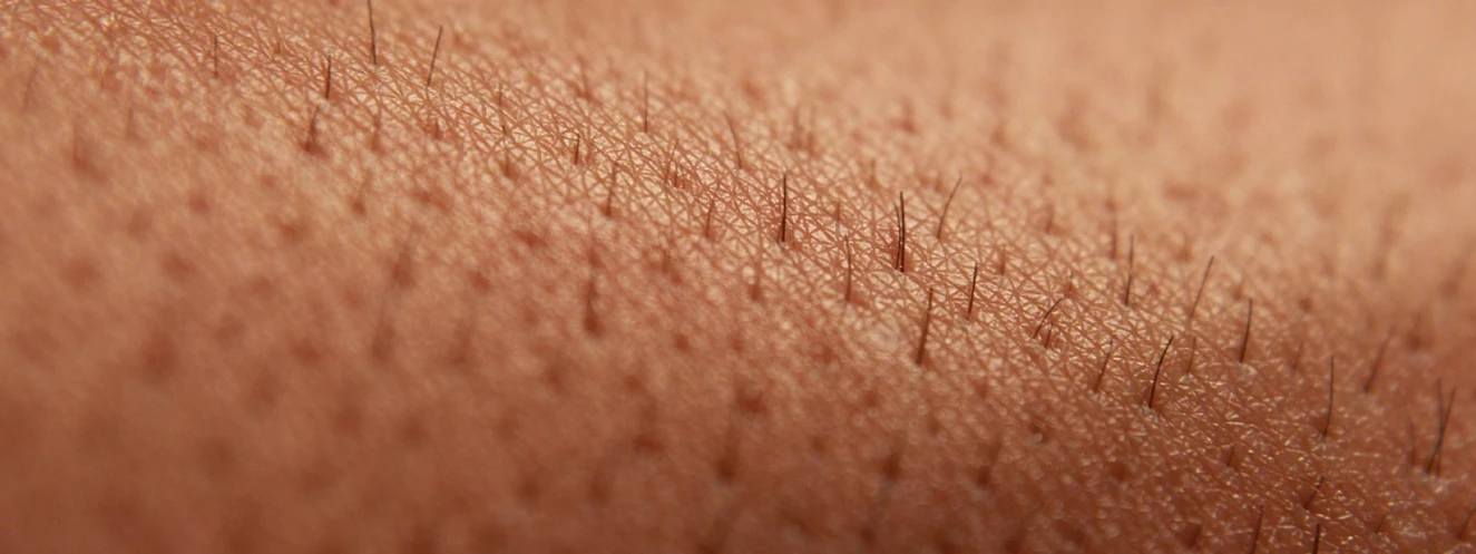 Haare auf der Haut