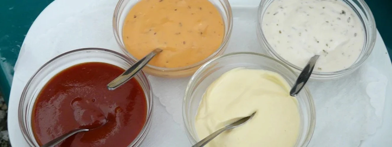 Saucen und Dips zum Selbermachen 