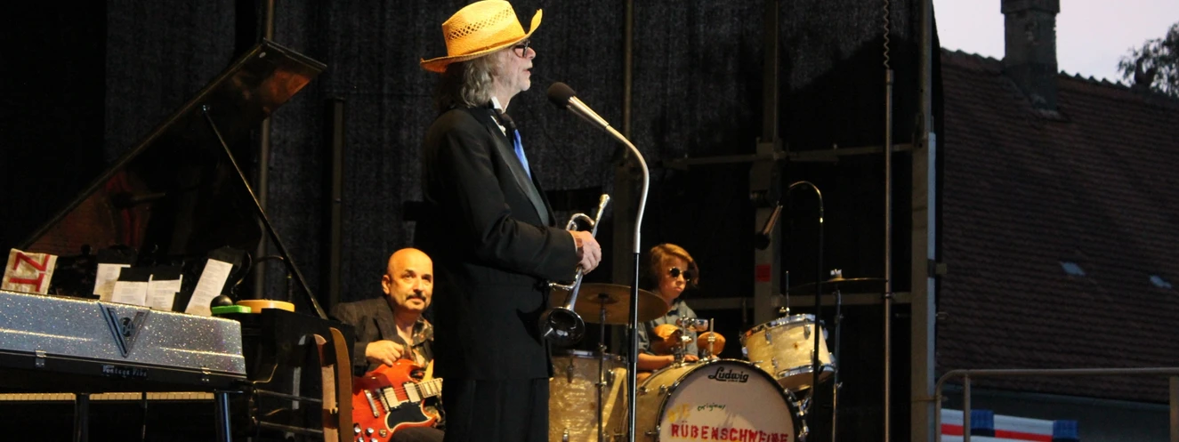 Helge Schneider live open air Wettenhausen