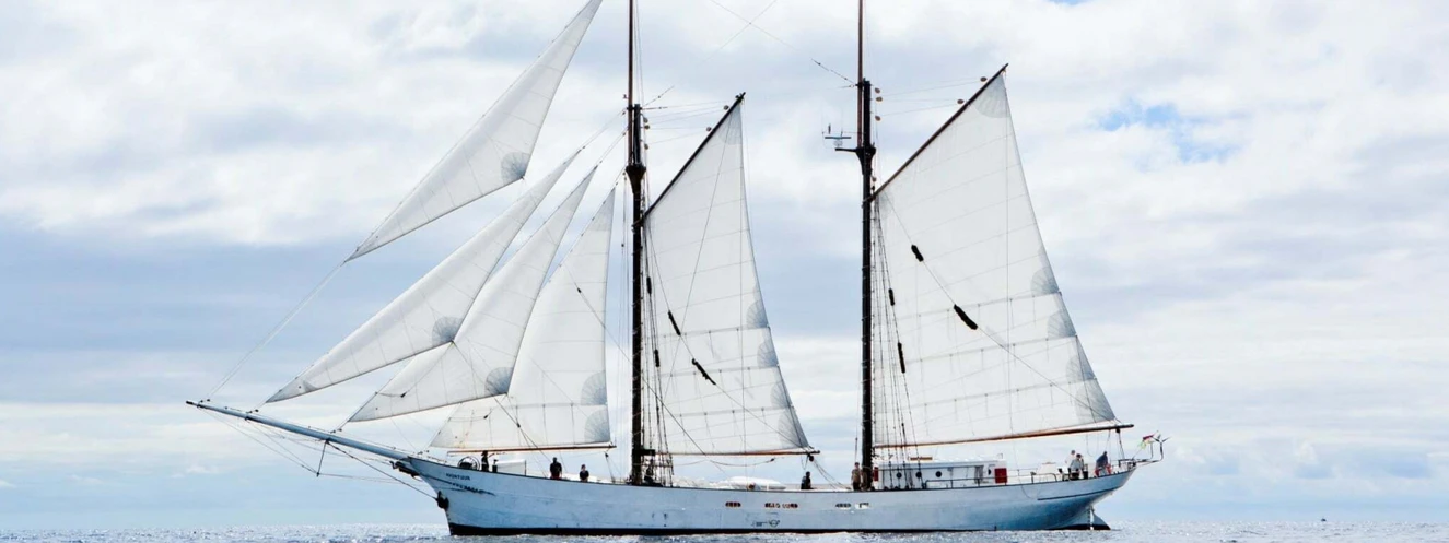 Segelwerk, Segelboot, Kaffee — © Segelwerk
