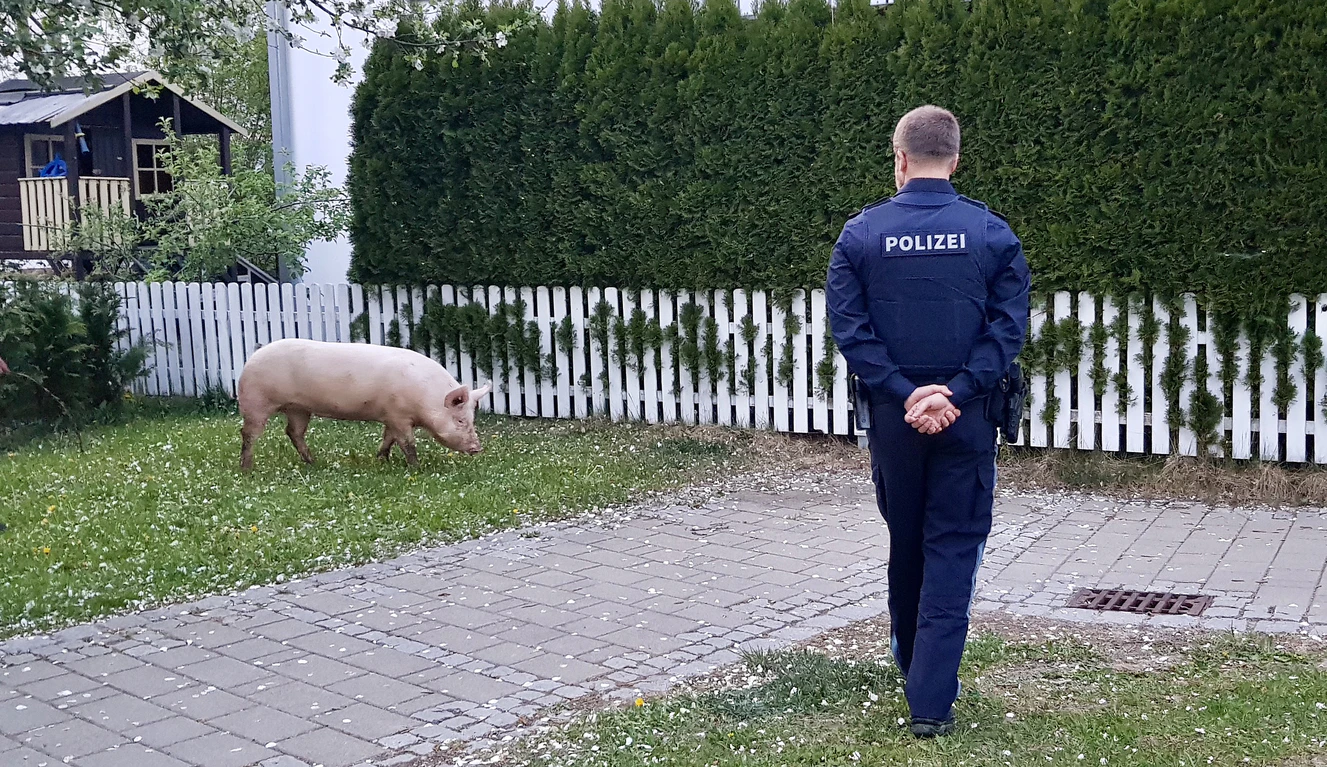  — © Polizei