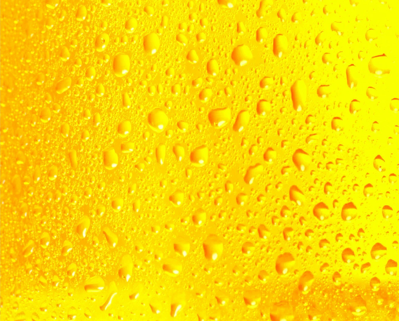 Bier