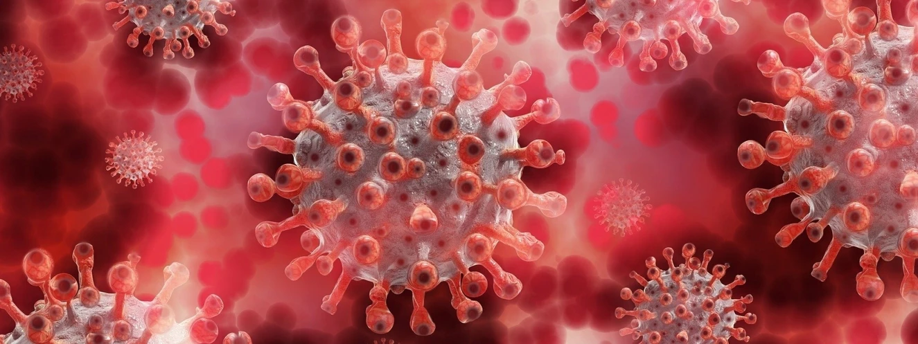 Corona-Virus