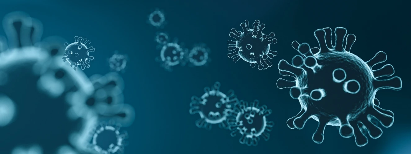 Coronavirus, coronazahlen