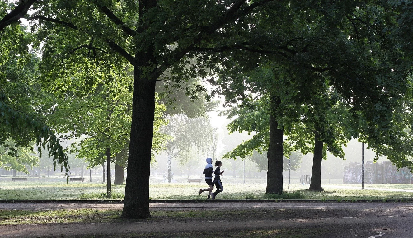 Zwei Jogger laufen auf einer Straße
