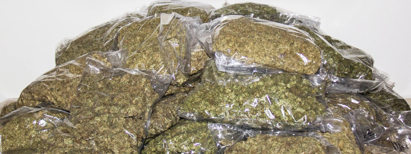 55 Kilo Marihuana in Kleintransporter entdeckt — © Polizei