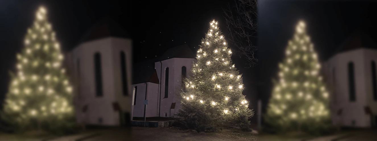 weihnachtsbaum einsingen