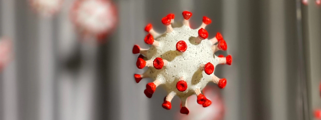 Corona, covid, covid19, coronavirus