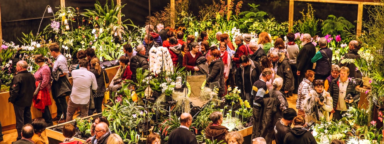 Orchideentage in Neu-Ulm — © Symbolbild/Stadt Neu-Ulm