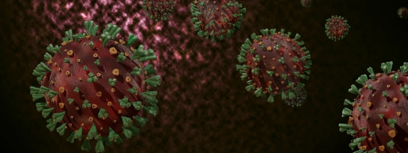 spike-proteine coronavirus