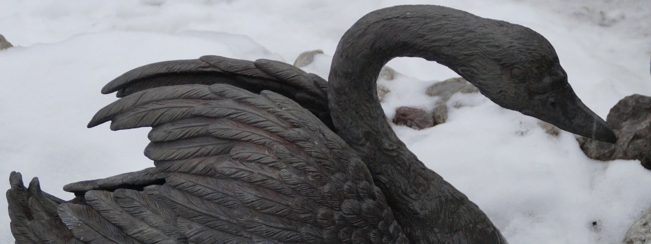 schwarzer schwan aus plastik  — © Symbolbild