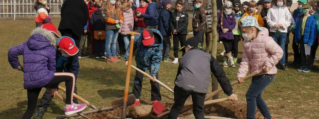 Bildunterschrift: Die 37. Umweltwoche des Landkreises Günzburg steht unter dem Motto „Bäume – Klimaschützer und Geschichtenerzähler“. Die Grundschulkinder aus Kissendorf pflanzten deshalb eine Rotbuche in ihrem Pausenhof. Foto: Angela Brenner/Landratsamt — © Angela Brenner/Landratsamt Günzburg