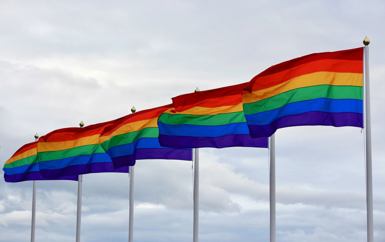 queer, pride flag