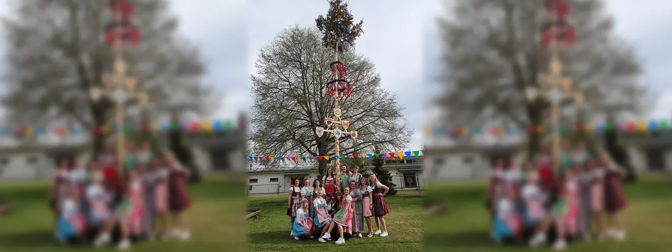 Maibaum Erlenmoos