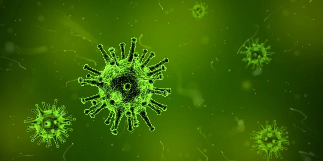 Ein Virus unter dem Mikroskop