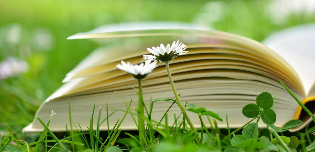 literatur, buch, lesen