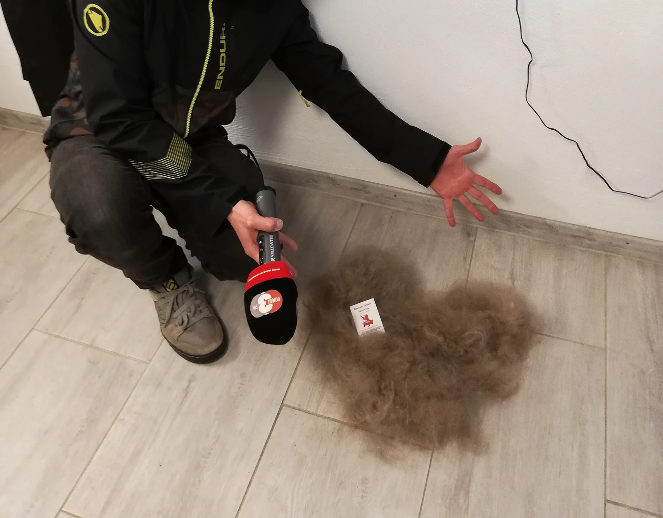 Ein Haufen Hundehaare