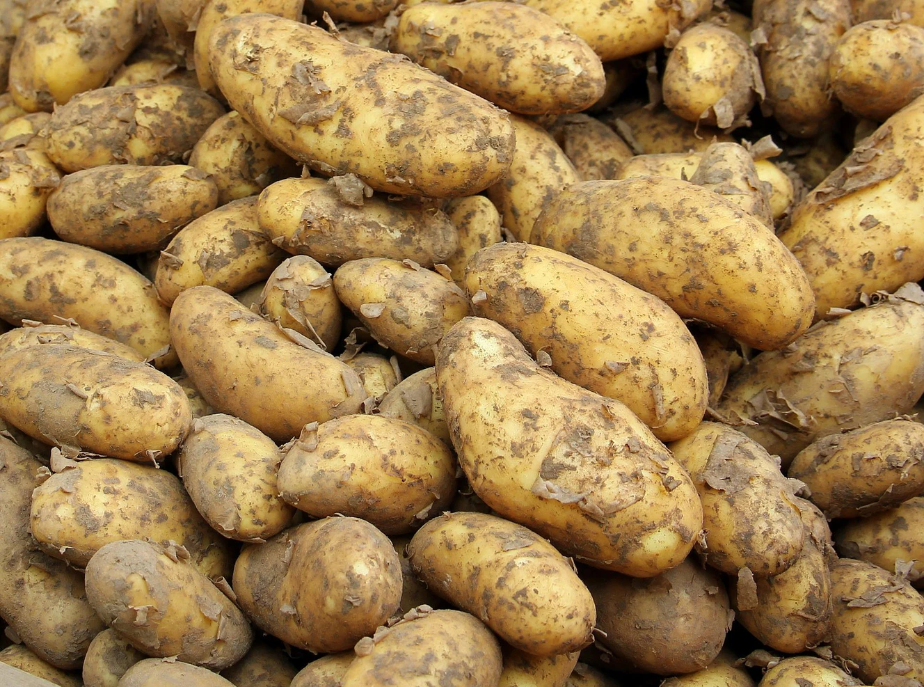 Kartoffeln