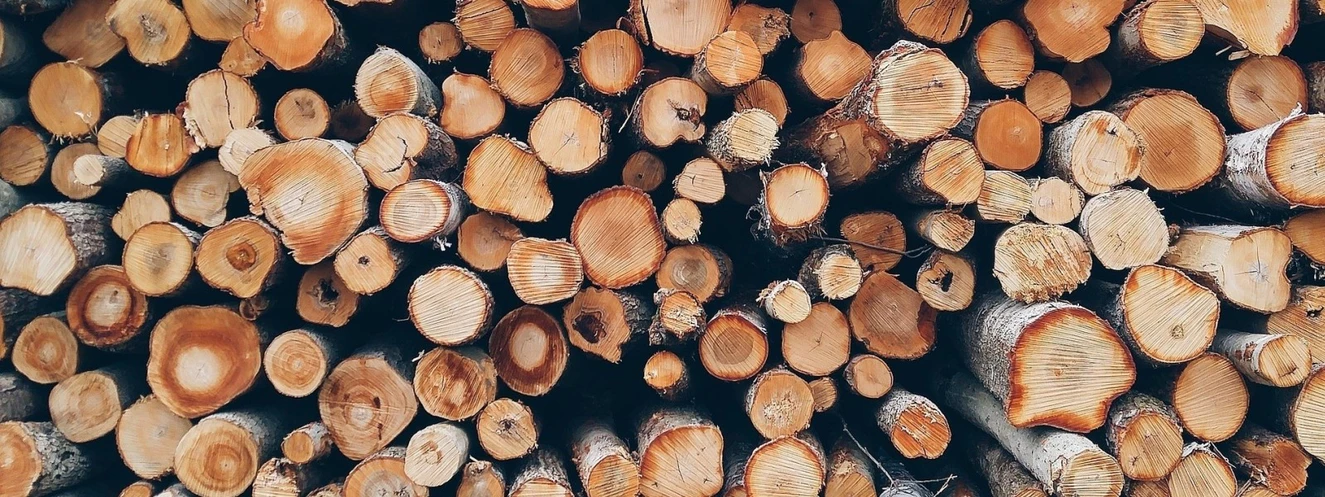Holz