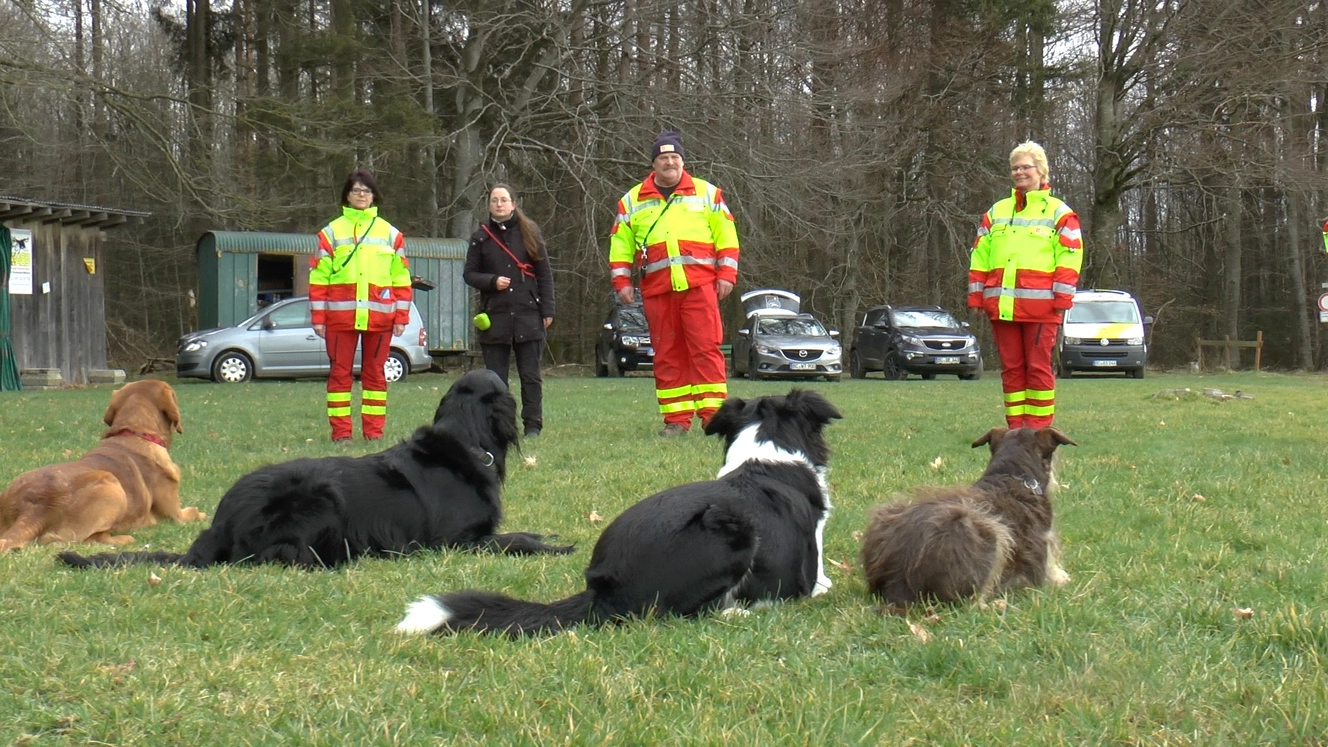 Rettungshunde beim Training